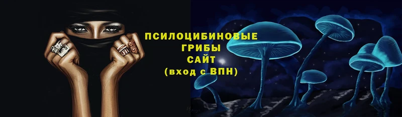 Псилоцибиновые грибы Magic Shrooms  Алзамай 